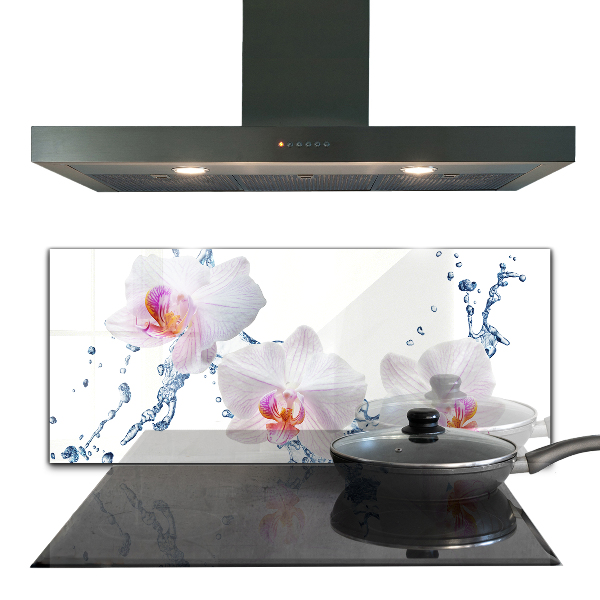 Kitchen splashback Orchid sprinkled with water