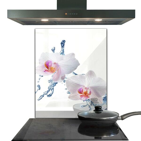 Kitchen splashback Orchid sprinkled with water