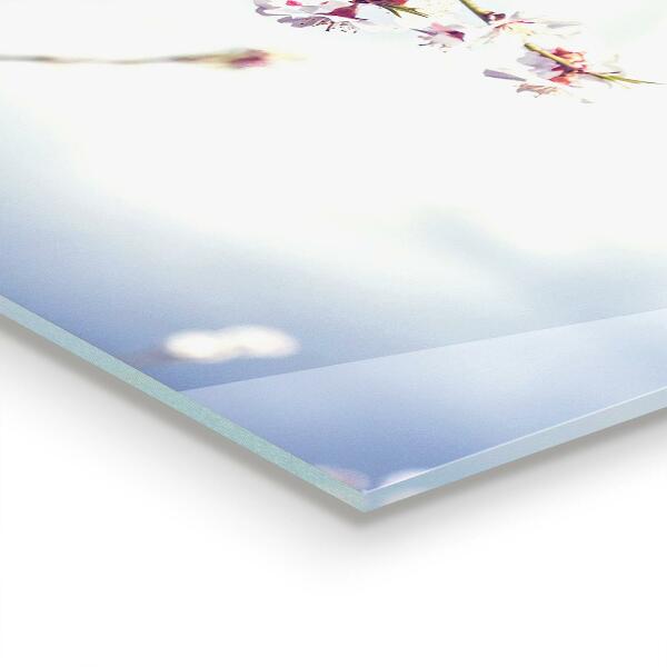 Kitchen splashback Delicate pink flowers