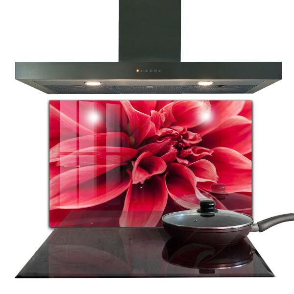 Kitchen splashback Energetic flower power of nature