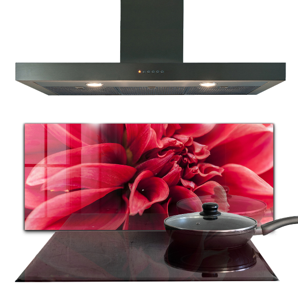 Kitchen splashback Energetic flower power of nature