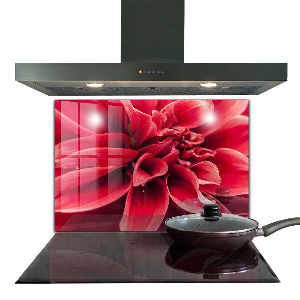 Kitchen splashback Energetic flower power of nature