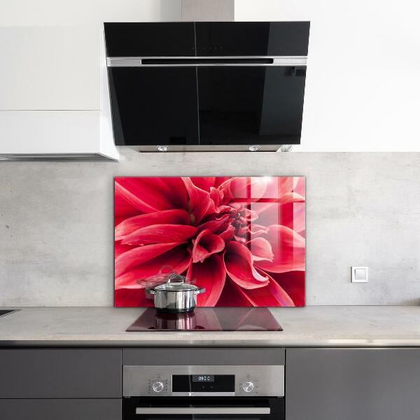 Kitchen splashback Energetic flower power of nature