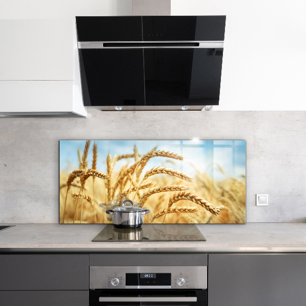 Kitchen splashback Grain gifts of mother nature
