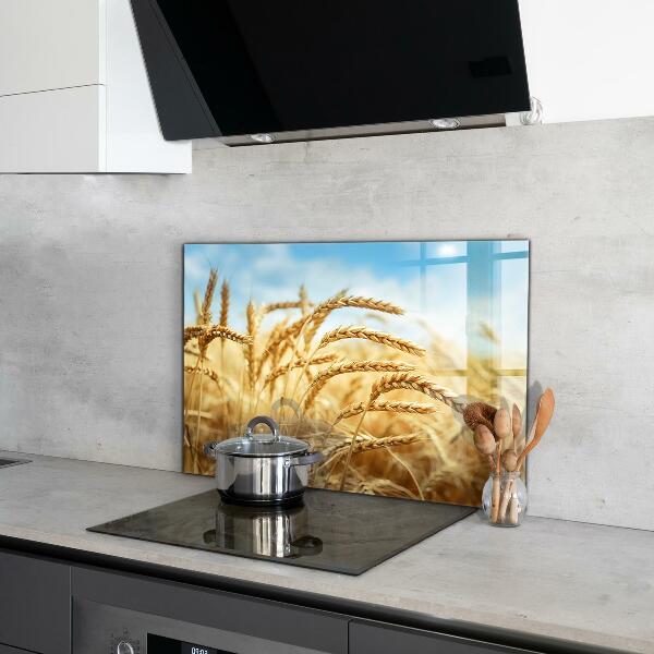 Kitchen splashback Grain gifts of mother nature