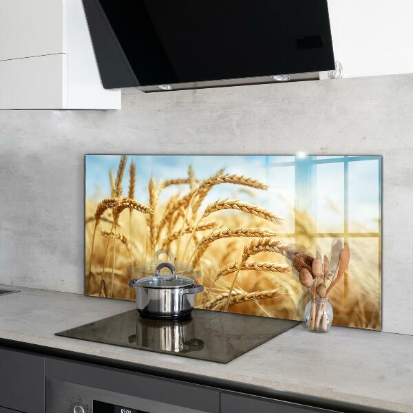 Kitchen splashback Grain gifts of mother nature