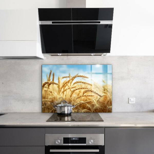 Kitchen splashback Grain gifts of mother nature