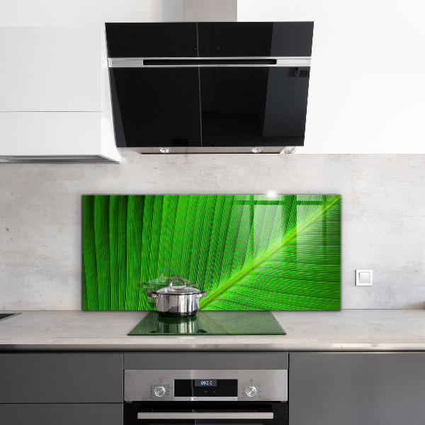 Kitchen splashback Tropical palm leaf