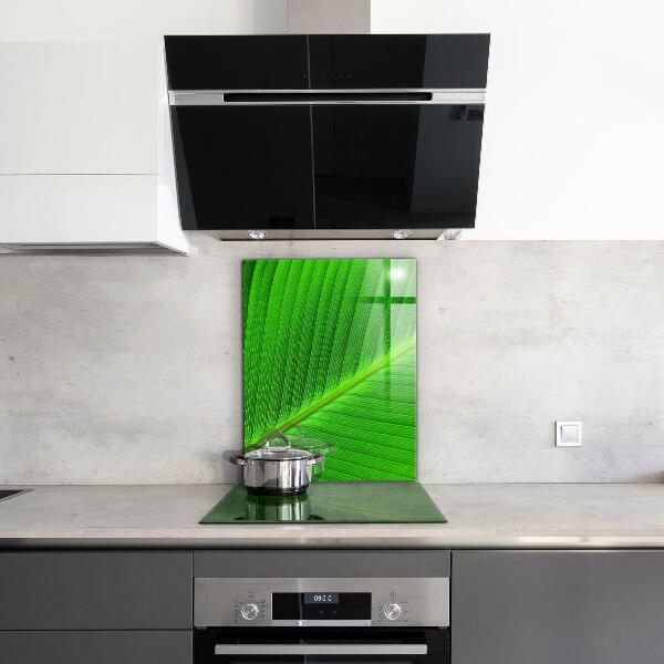 Kitchen splashback Tropical palm leaf