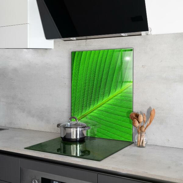 Kitchen splashback Tropical palm leaf