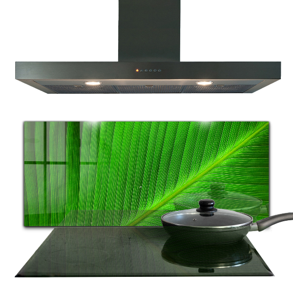 Kitchen splashback Tropical palm leaf