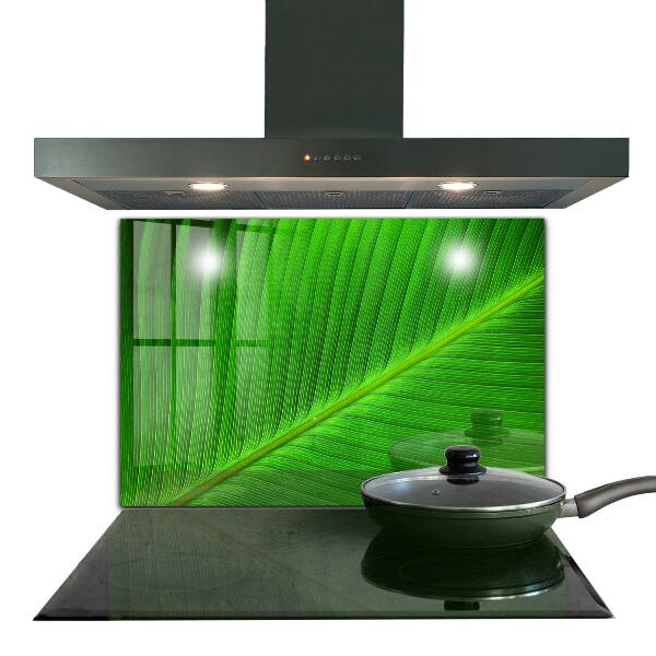 Kitchen splashback Tropical palm leaf