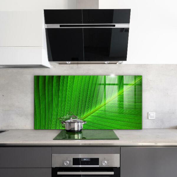 Kitchen splashback Tropical palm leaf