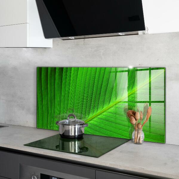 Kitchen splashback Tropical palm leaf