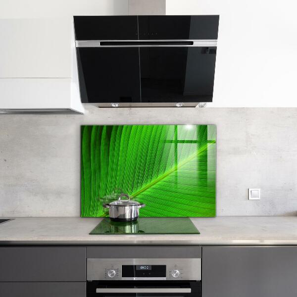 Kitchen splashback Tropical palm leaf
