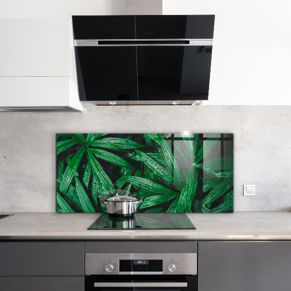 Kitchen splashback Exotic jungle leaves