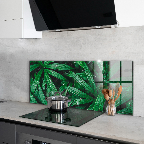Kitchen splashback Exotic jungle leaves