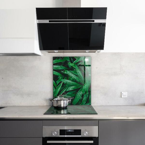 Kitchen splashback Exotic jungle leaves