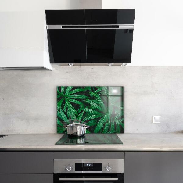 Kitchen splashback Exotic jungle leaves