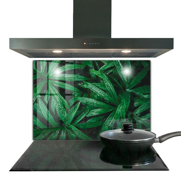 Kitchen splashback Exotic jungle leaves
