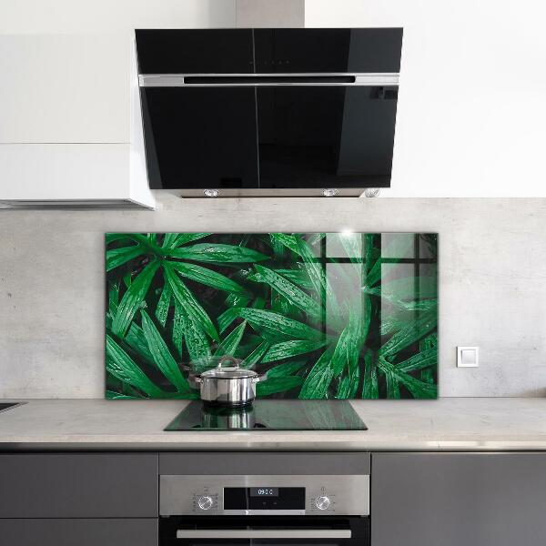 Kitchen splashback Exotic jungle leaves