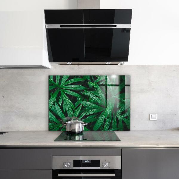 Kitchen splashback Exotic jungle leaves