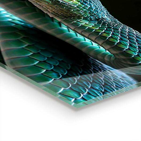 Kitchen splashback Snake wildlife