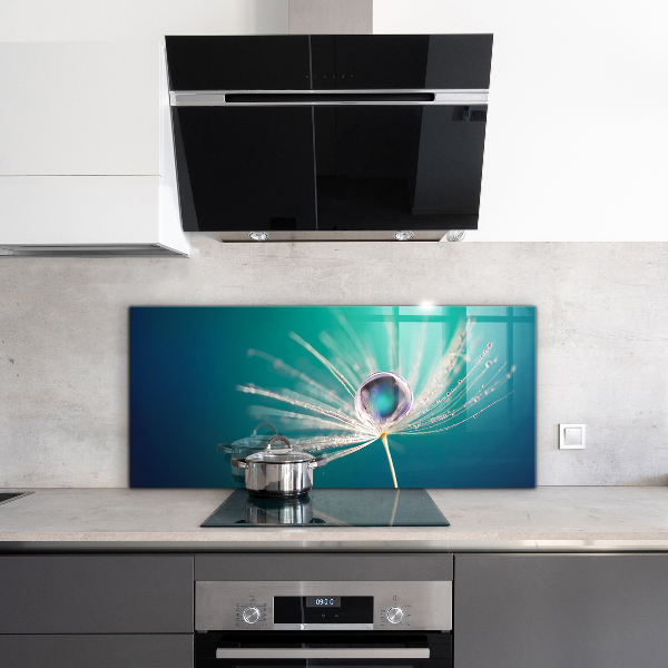 Kitchen splashback Dandelion with a dew drop