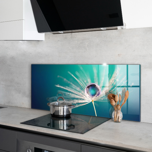 Kitchen splashback Dandelion with a dew drop