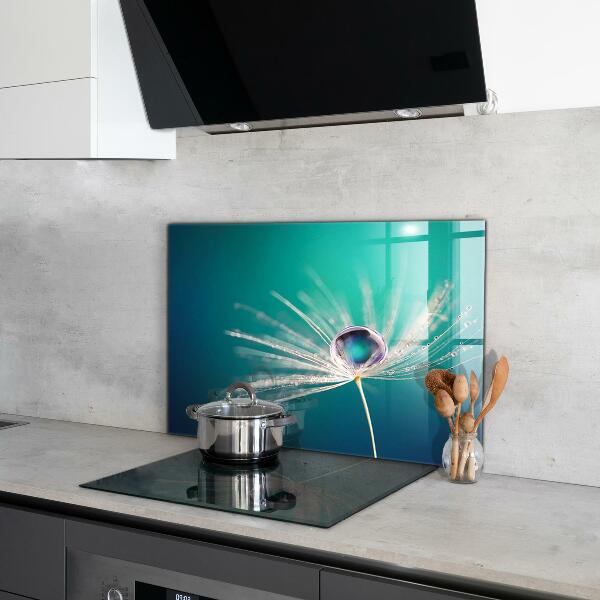 Kitchen splashback Dandelion with a dew drop