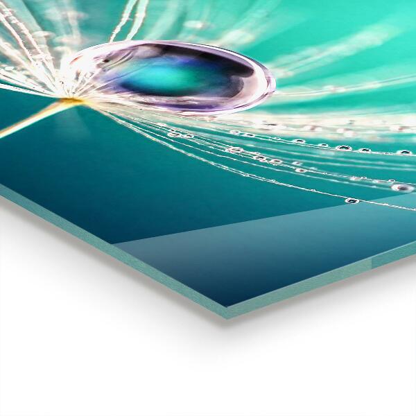 Kitchen splashback Dandelion with a dew drop