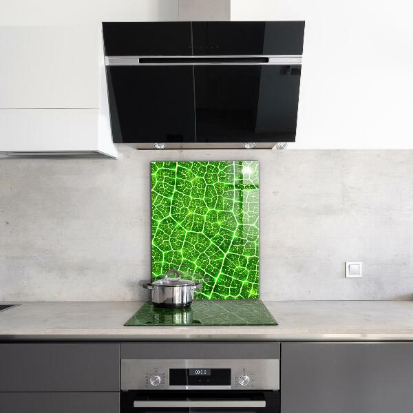 Kitchen splashback The power of green botany