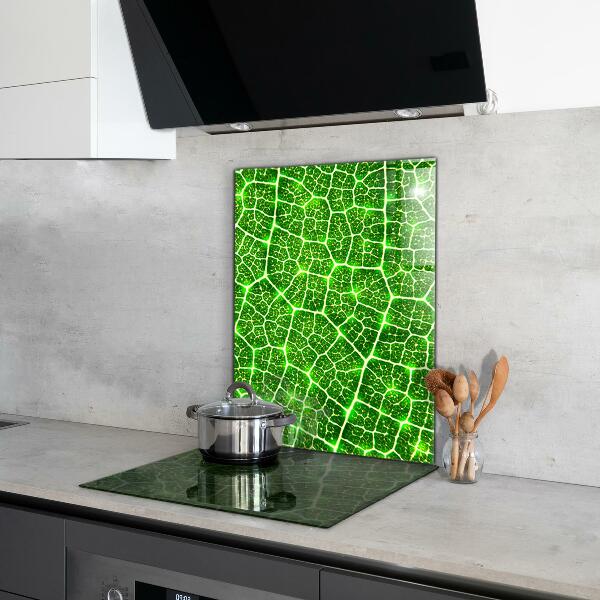 Kitchen splashback The power of green botany