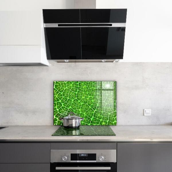 Kitchen splashback The power of green botany