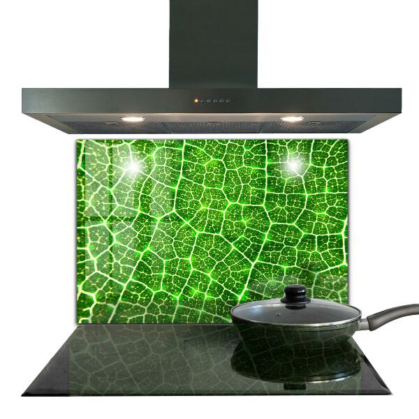 Kitchen splashback The power of green botany
