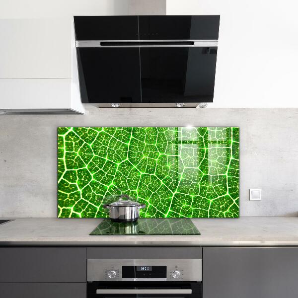 Kitchen splashback The power of green botany