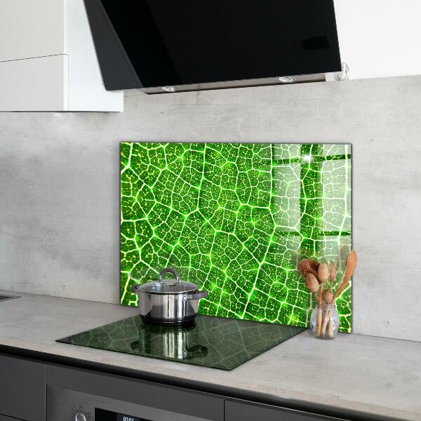 Kitchen splashback The power of green botany