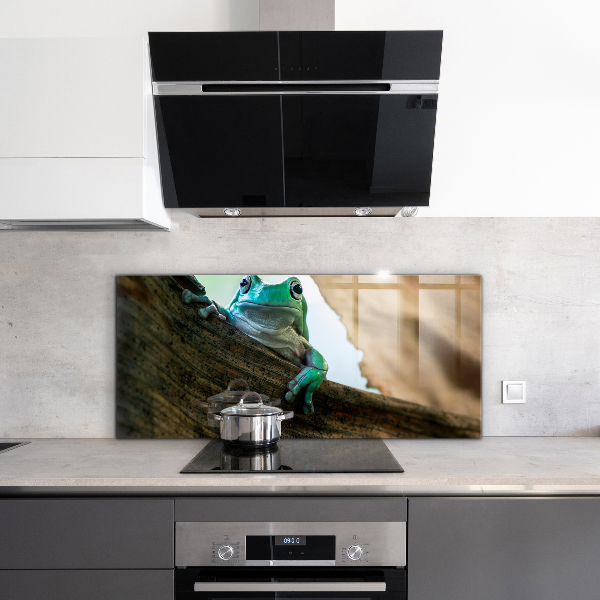 Kitchen splashback African frog portrait