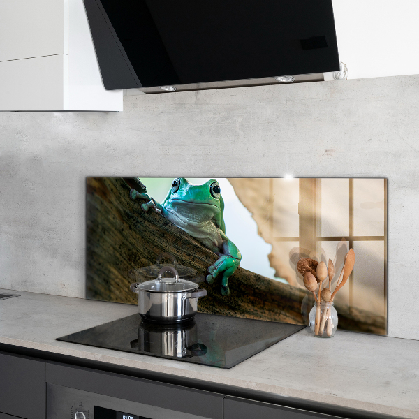 Kitchen splashback African frog portrait