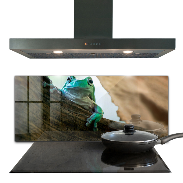 Kitchen splashback African frog portrait