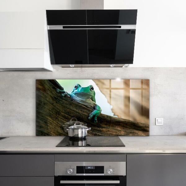 Kitchen splashback African frog portrait