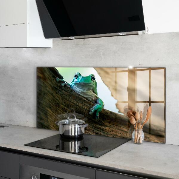 Kitchen splashback African frog portrait