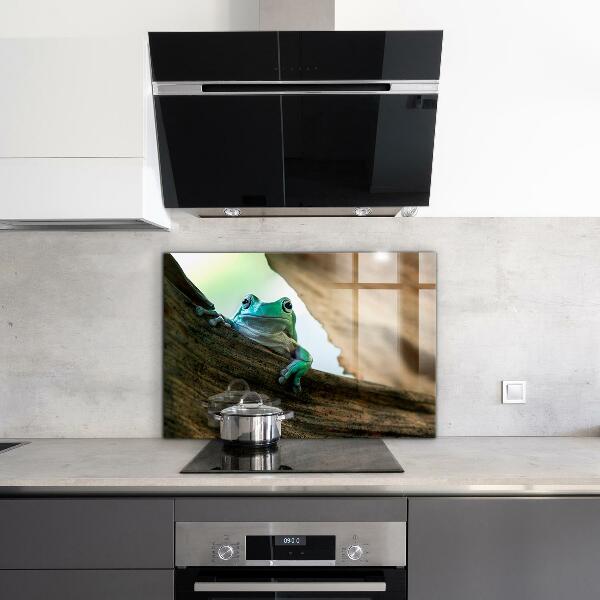 Kitchen splashback African frog portrait