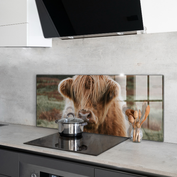 Kitchen splashback Highland cottage style cow