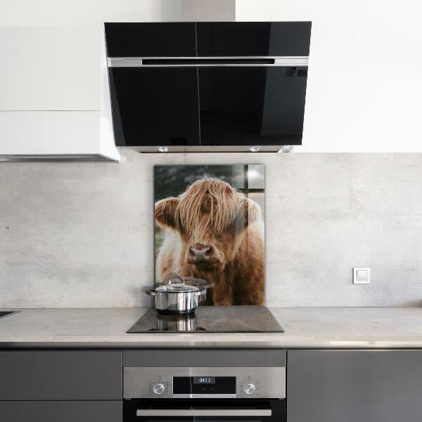 Kitchen splashback Highland cottage style cow