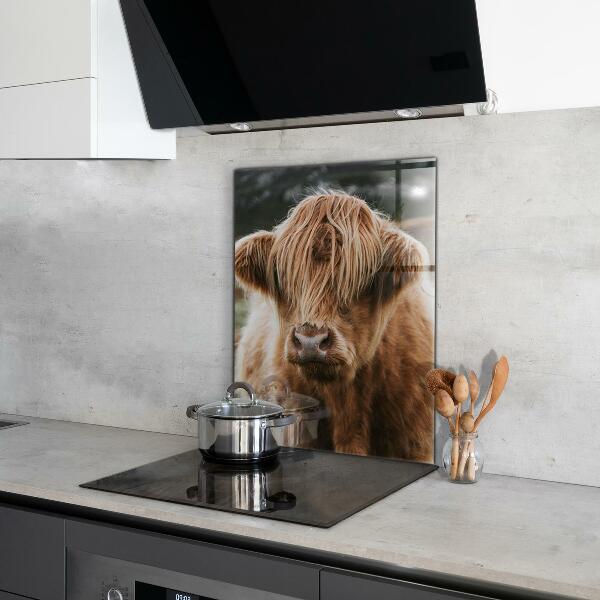 Kitchen splashback Highland cottage style cow