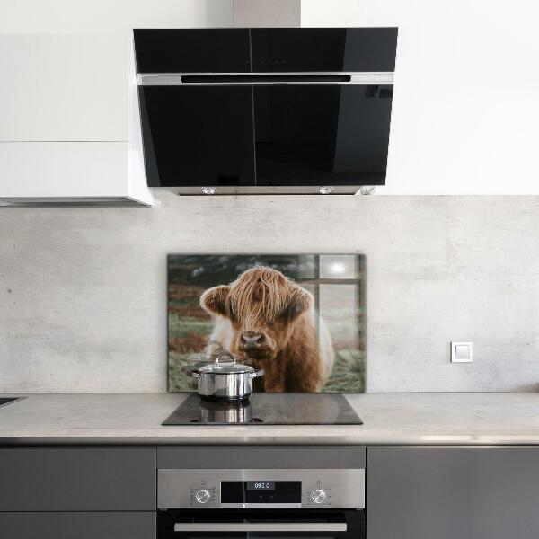 Kitchen splashback Highland cottage style cow