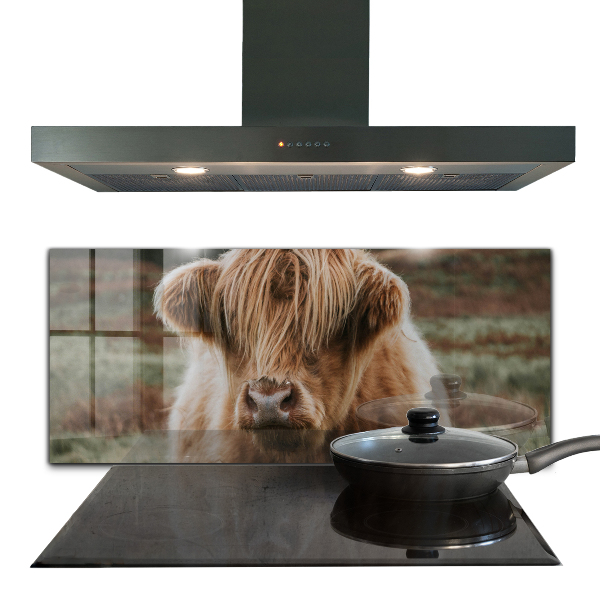 Kitchen splashback Highland cottage style cow