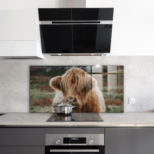 Kitchen splashback Highland cottage style cow