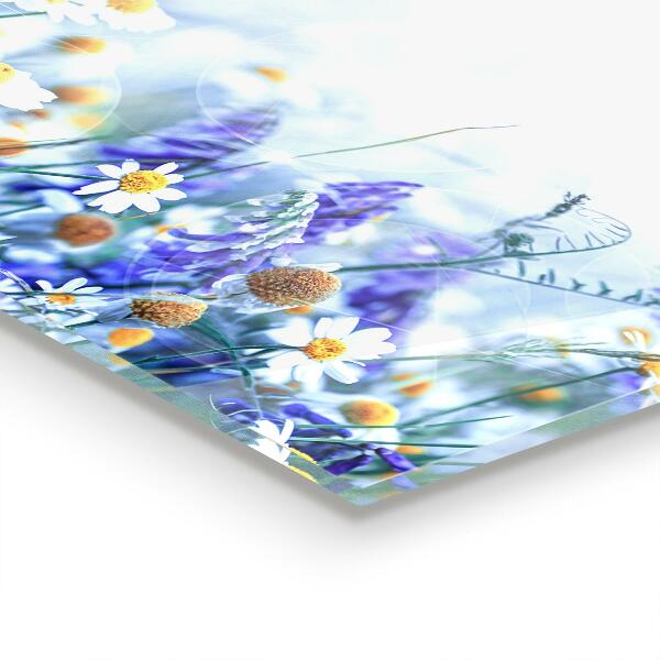 Kitchen splashback Summer meadow butterfly flower